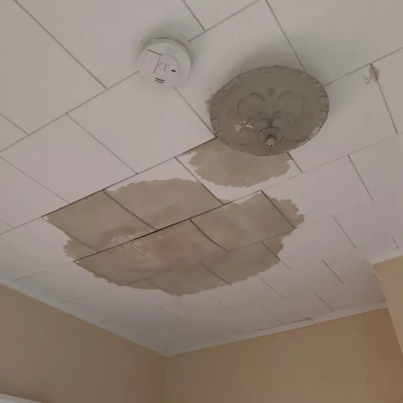 Ceiling Water Damage Repair in Greensboro, NC