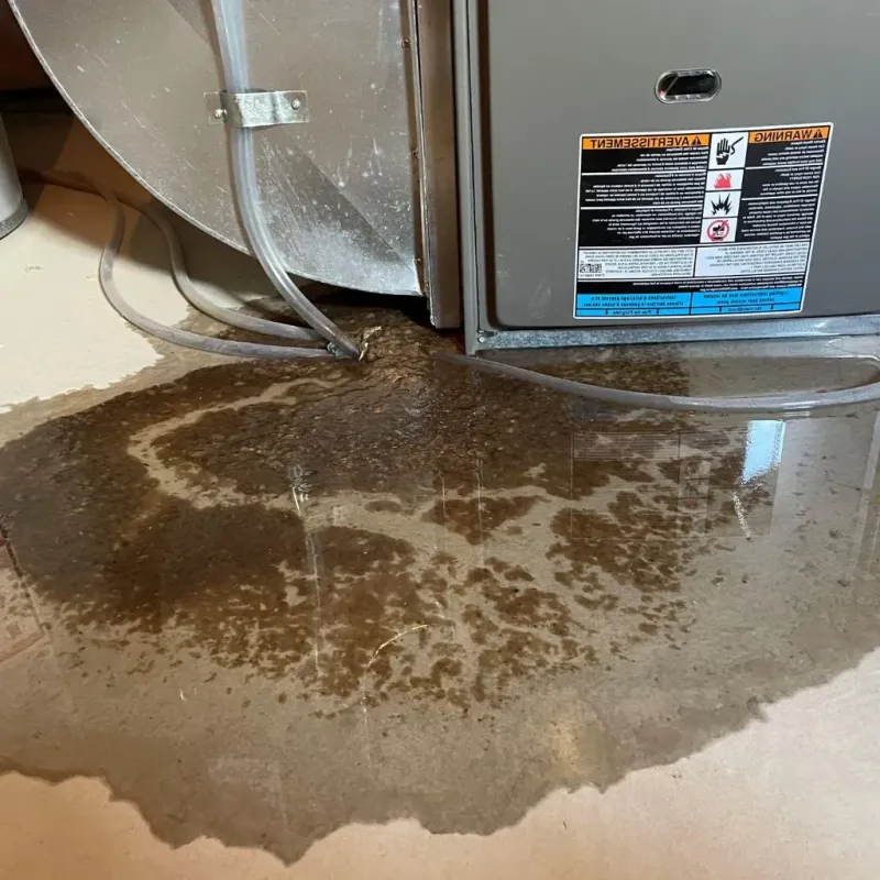 Pipe Burst and Leak Restoration in Greensboro, NC