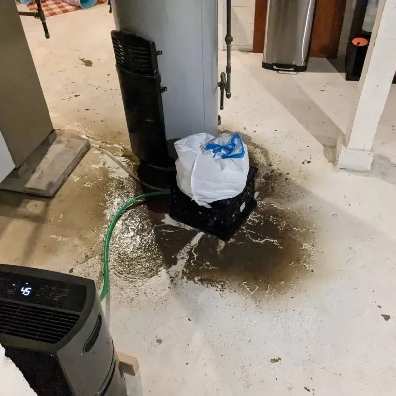 Sewage Backup Cleanup Service in Greensboro, NC